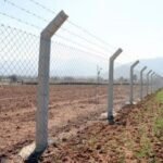 شبوك الرياض