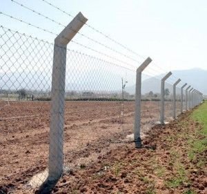 شبوك الرياض